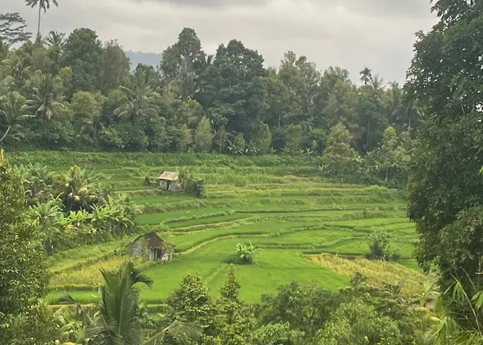 Séjour chez l'habitant Wayan Bola Sidemen (Bali)