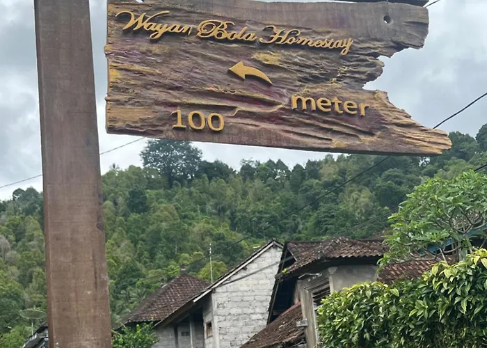 Wayan Bola *