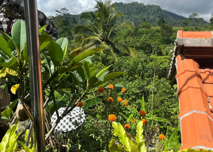 Séjour chez l'habitant Wayan Bola