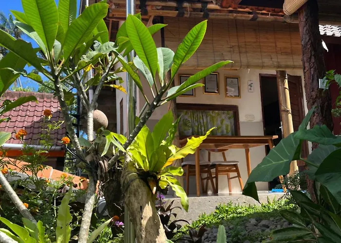 Séjour chez l'habitant Wayan Bola